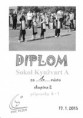 /album/ostatni/a4-1-dhc-plzena-170115-jpg/